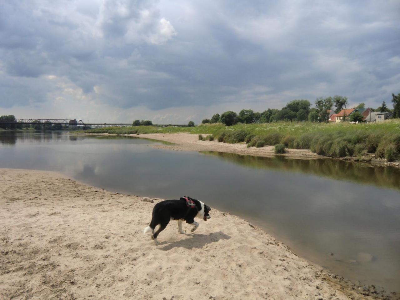 Apartmenthaus Rosenflair Schönebeck Стая снимка