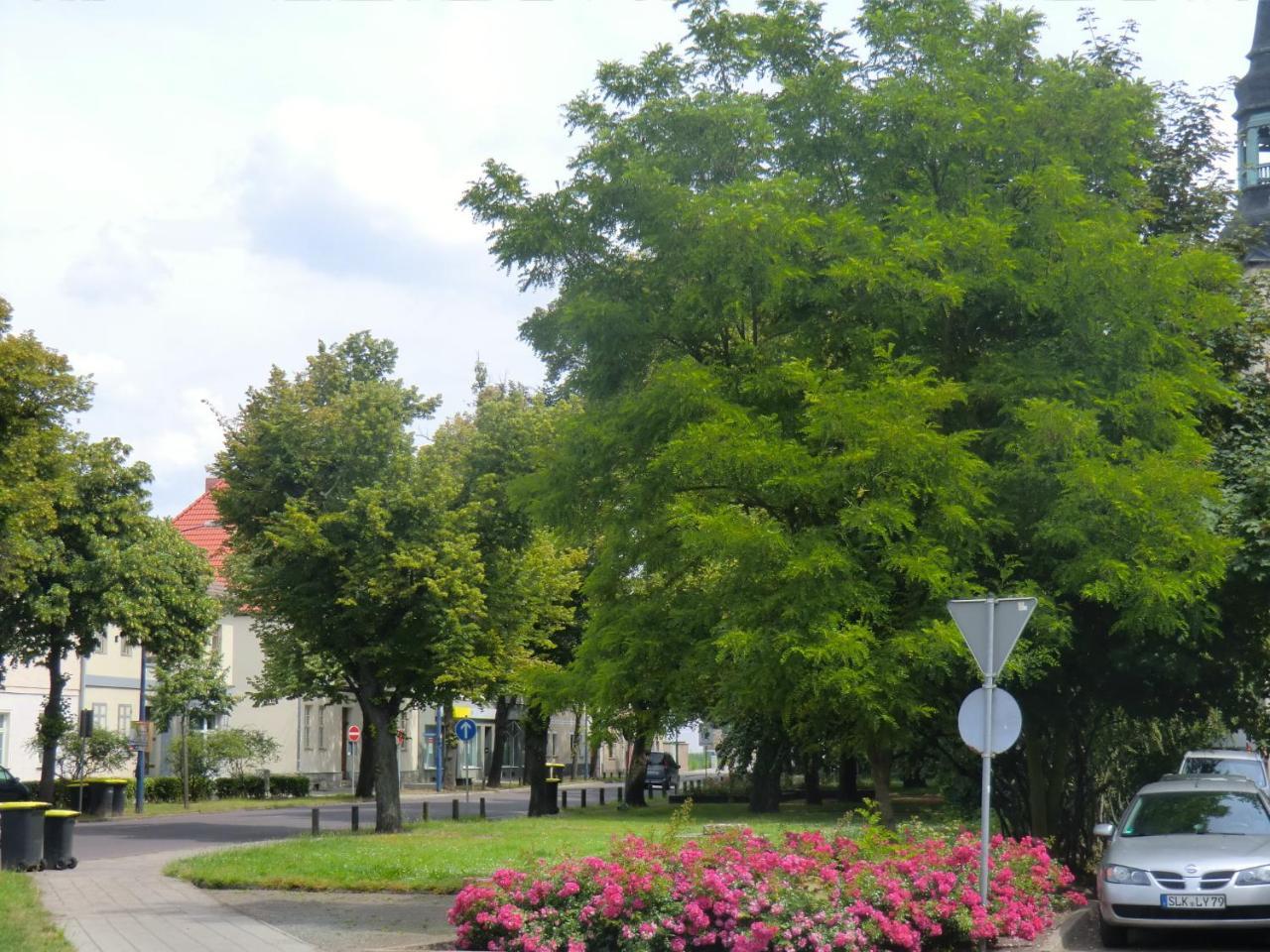 Apartmenthaus Rosenflair Schönebeck Екстериор снимка